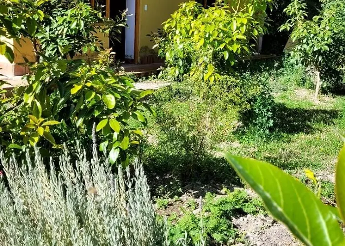 Lavanda * Ollantaytambo
