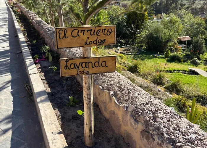 Lavanda * Ollantaytambo